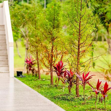 Dream Field Luye Exterior foto