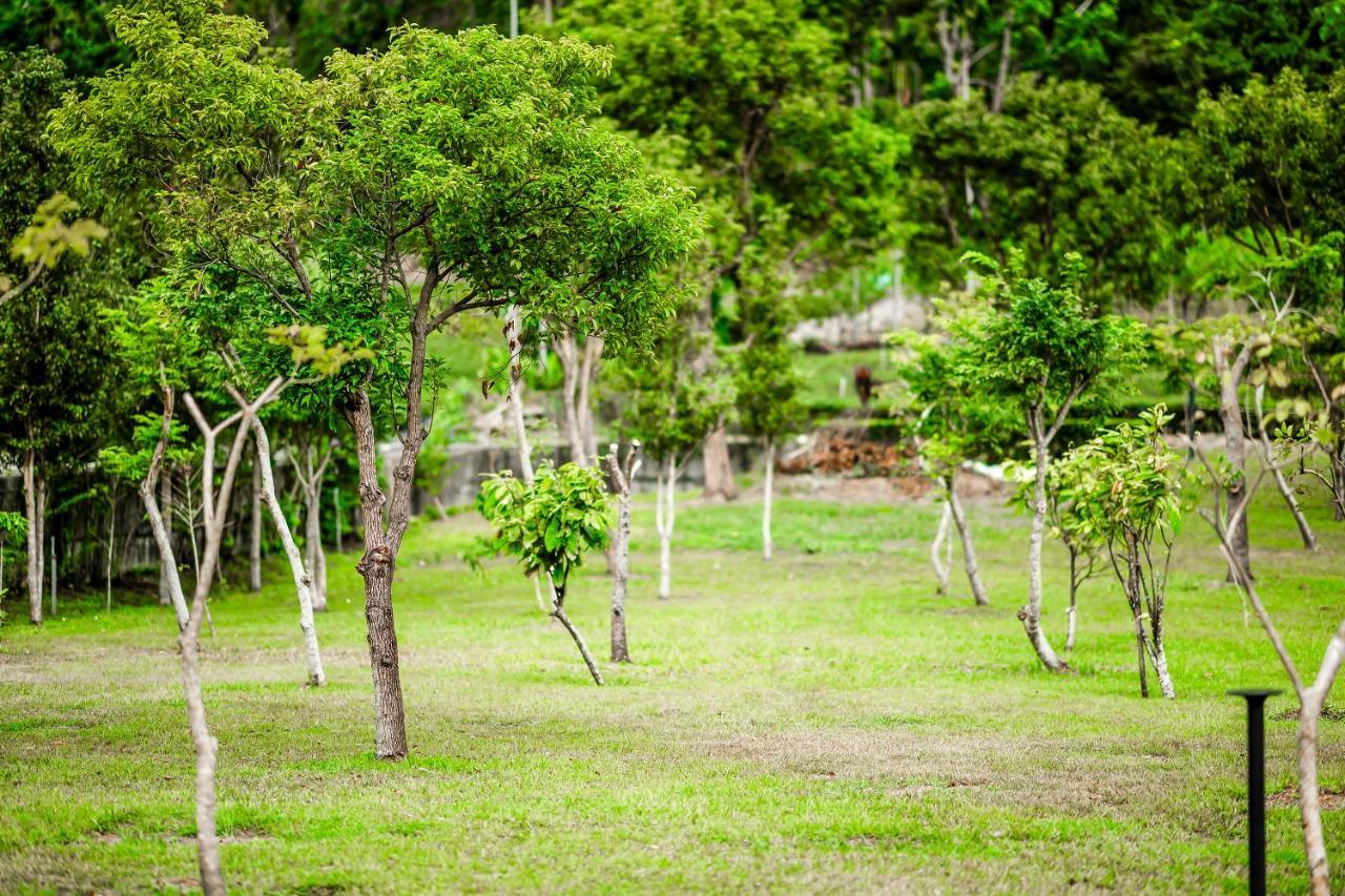 Dream Field Luye Exterior foto