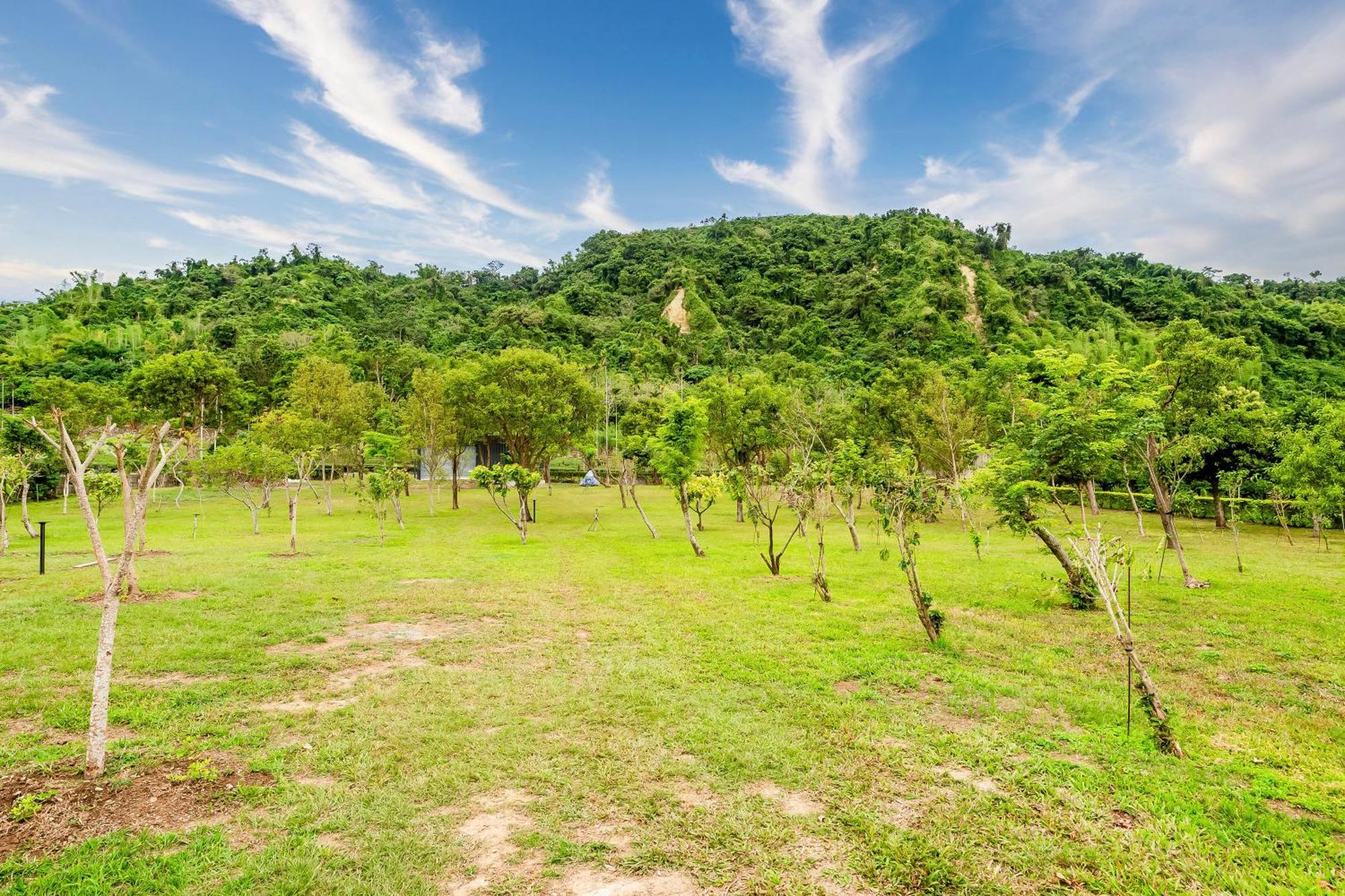 Dream Field Luye Exterior foto