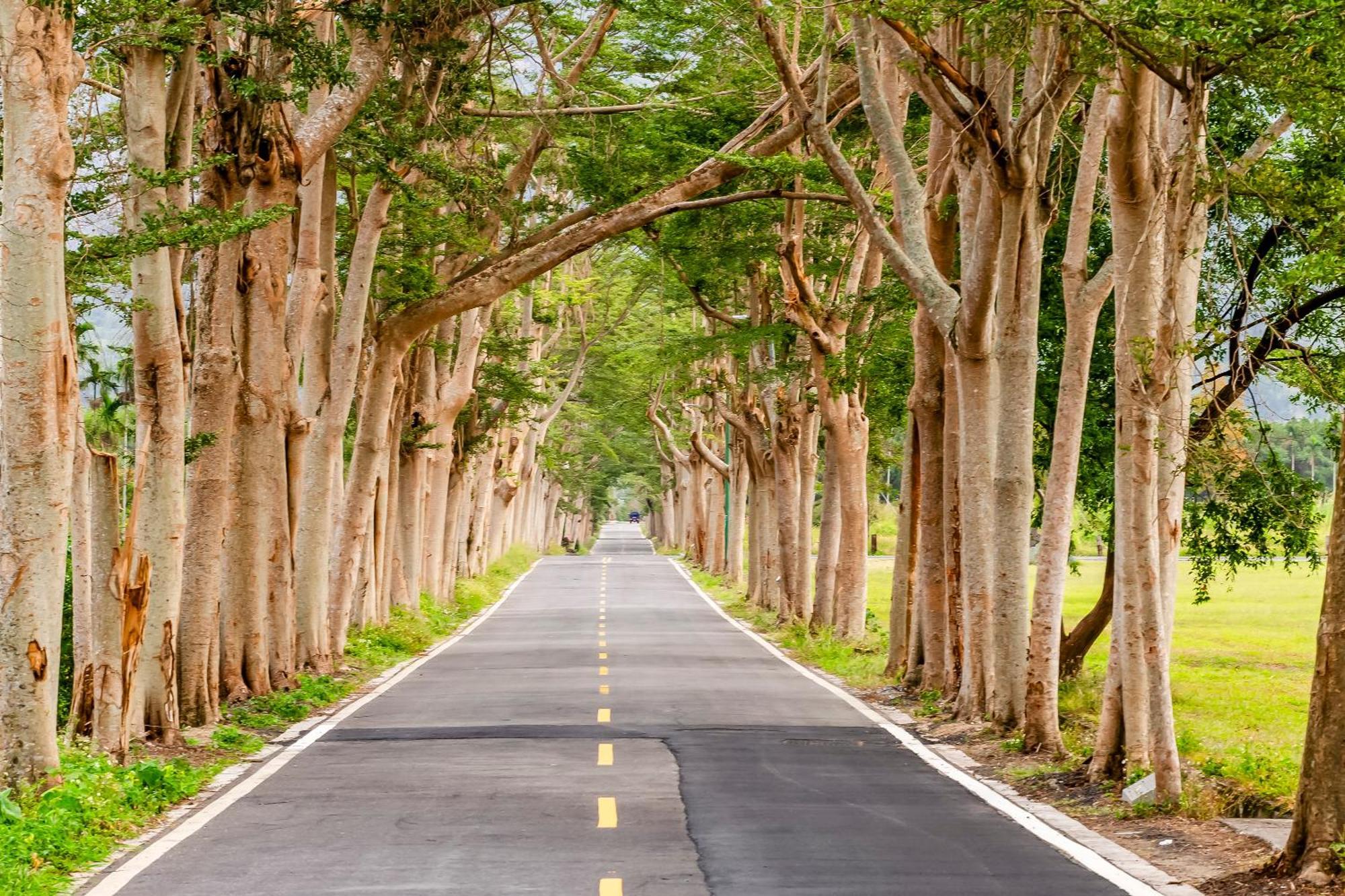 Dream Field Luye Exterior foto