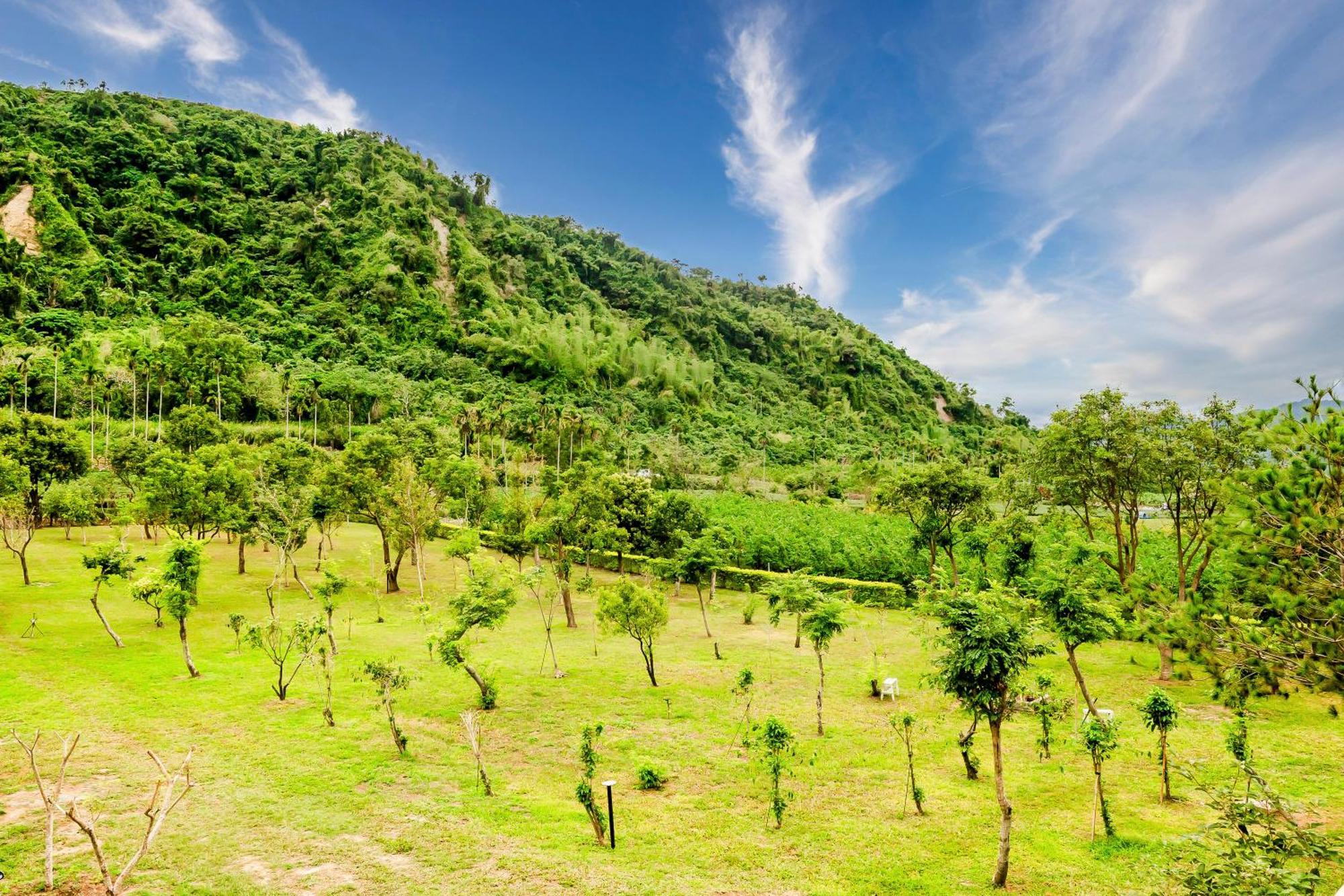 Dream Field Luye Exterior foto