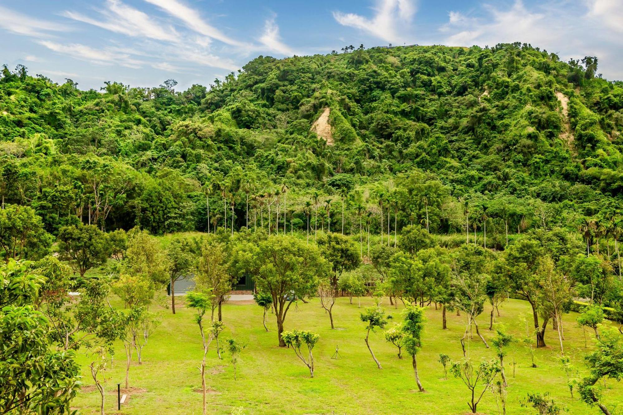 Dream Field Luye Exterior foto