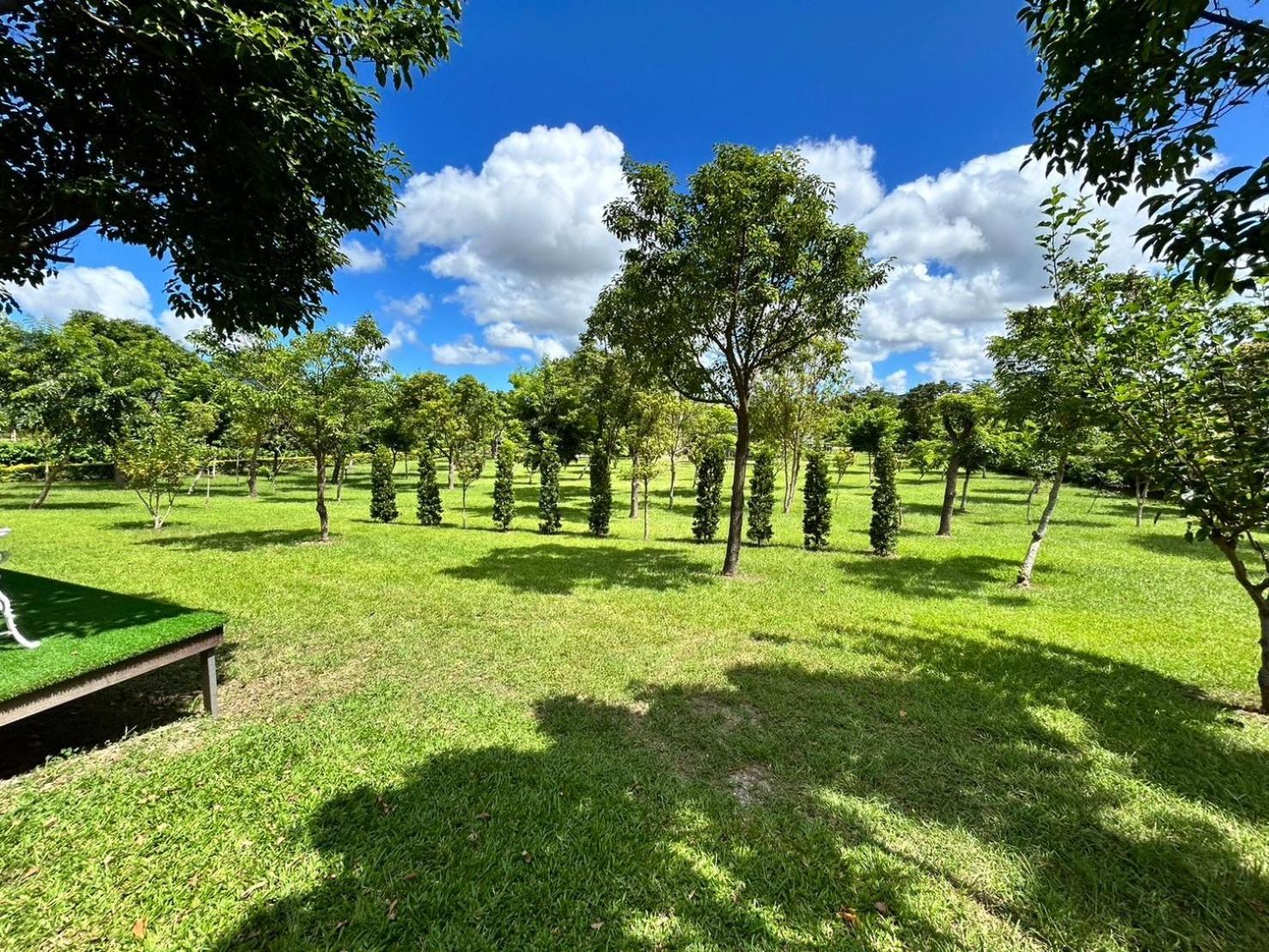 Dream Field Luye Exterior foto